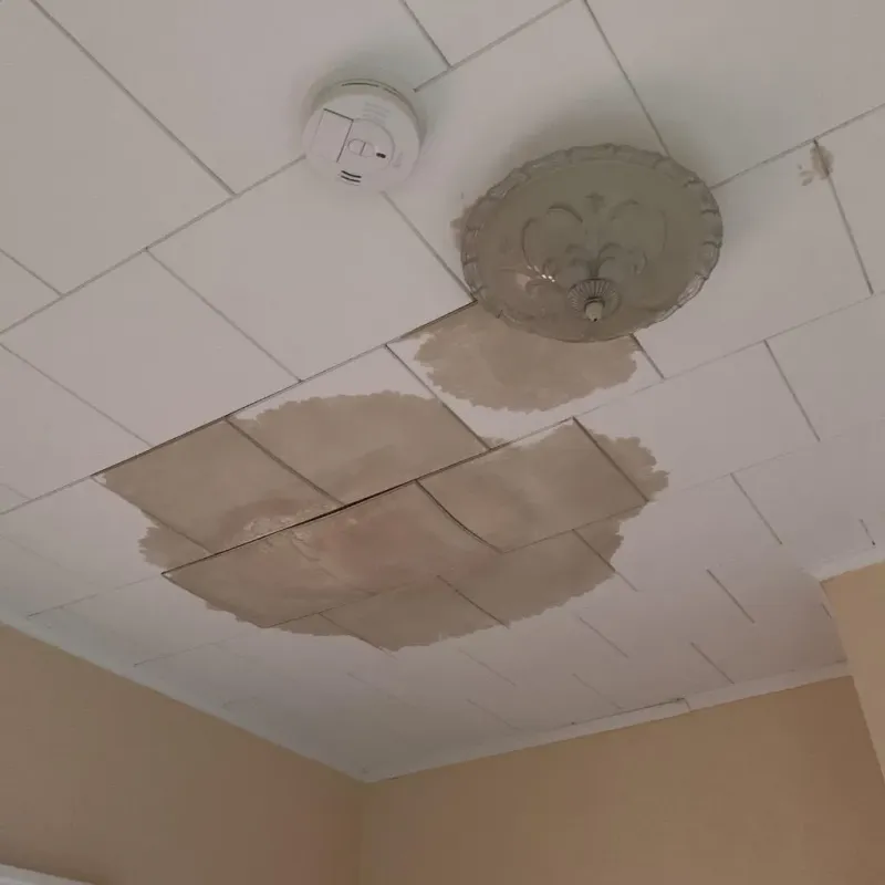 Ceiling Water Damage Repair in Rockford, MI