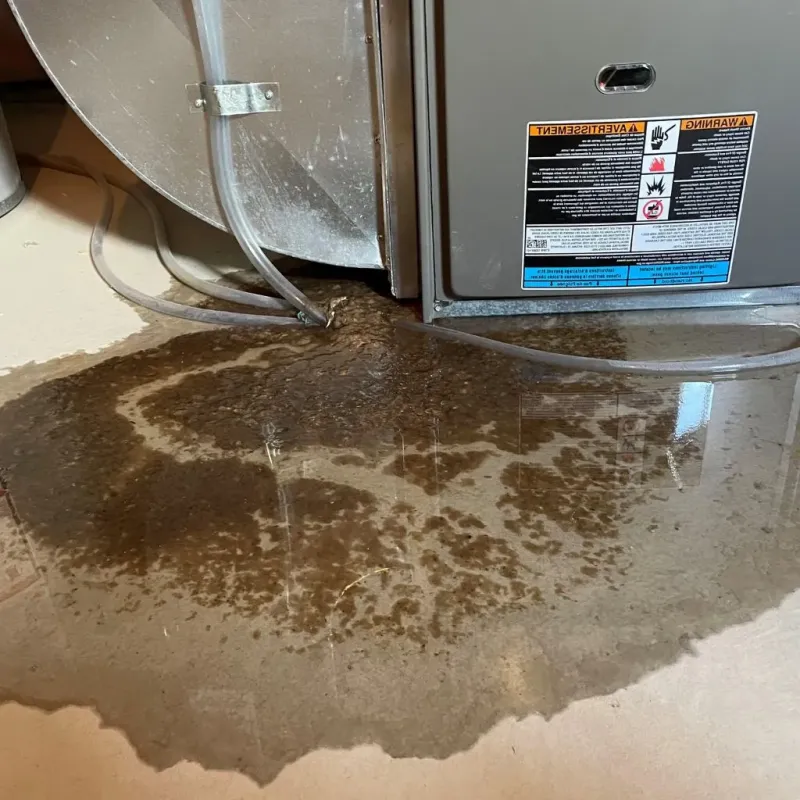 Pipe Burst and Leak Restoration in Rockford, MI